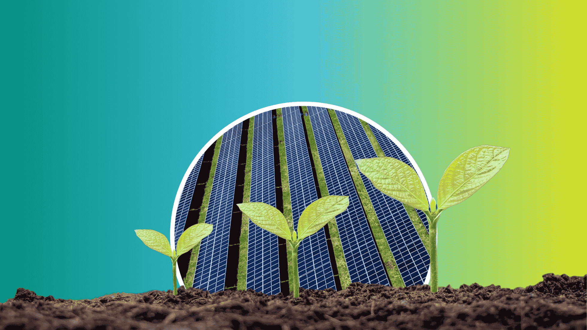 How Much Does Community Solar Cost?